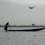 Inle Lake - Fisherman