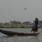 Inle Lake - Fisherman