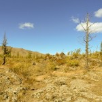 Lavafeld am White Lake