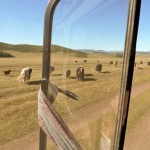 Blick aus dem Fenster