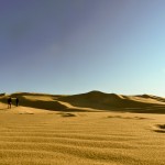 Sanddüne - Gobi