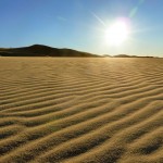 Sanddüne - Gobi
