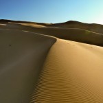 Sanddüne - Gobi