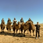 Kamelreiten