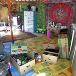 Edeljurte von Sugaraas Schwester