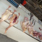 Fleischfachhandel