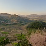 Reisfelder im Katmandu Tal