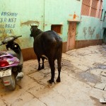 Parkplatz vorm Hostel - Shizoprenie?