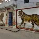 Streetart in Udaipur